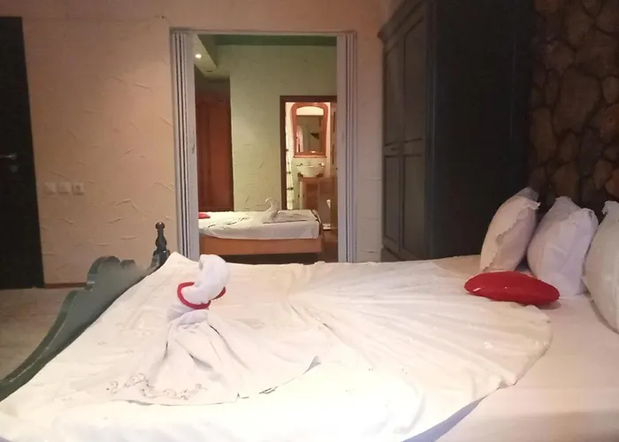 Vila Samaya Guest house *